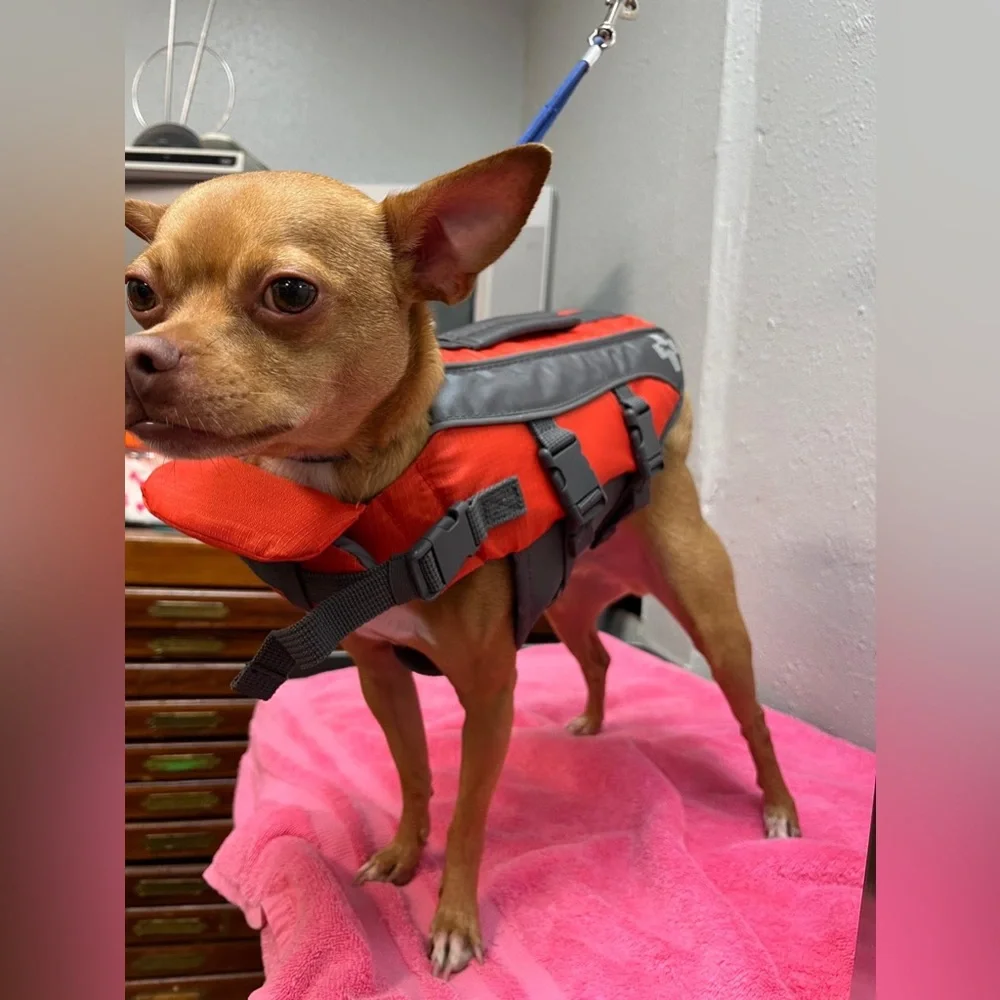 Outward Hound Red Dog Life Jacket